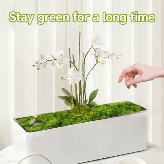 Fake Green Moss for Potted Plants Indoor, 5.3oz Artificial Moss for Crafts, Faux Moss Decor for DIY Decorative, Model Making, Walls, Glass Containers, Home {5}