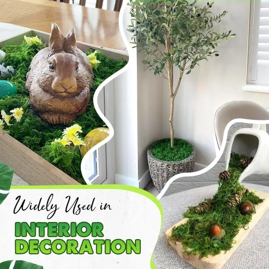 Green Moss for Crafts Decorative Moss Filler for Planters Moss Decor for Table Centerpieces Wedding Christmas Fairy Party Decor, Green Moss for Indoor Planters, DIY Project {5}