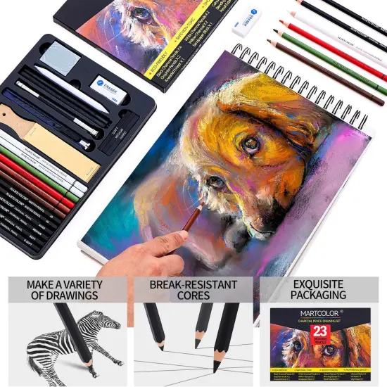 Charcoal Drawing Set, Set of 23, Graphite Pencils, Black & White Charcoal Pencils for Drawing, Sketching, Shading, Blending, Artist Pencils for Beginners & Pro Artists {3}