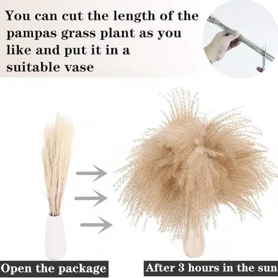 Dried Pampas Grass Decor, 100 Stems Pampas Grass Contains Bunny Tails Dried Flowers, Reed Grass Bouquet for Wedding Boho Flowers Home Table Decor, Rustic Farmhouse Party (17", White and Brown) {4}