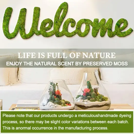 Preserved Moss for Crafts Green Reindeer Moss for Potted Plants, Craft Decorative Moss Decor for Wall Art, Dried Moss {3}