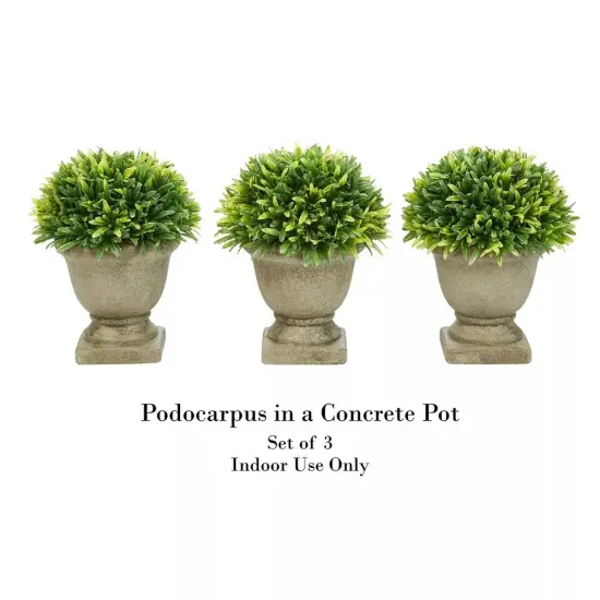 Set of 3 Artificial Podocarpus Faux Grass Plant Pot- Round 7.5&rdquo; Decorative {3}