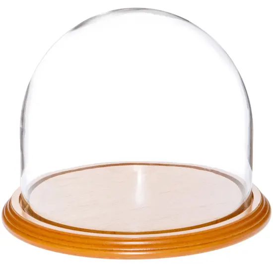 Plymor 8" x 6.5" Glass Display Dome Cloche Oak Veneer {1}