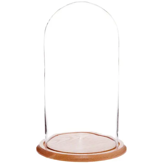 Plymor 9.75" x 20" Glass Display Dome Cloche Oak {1}