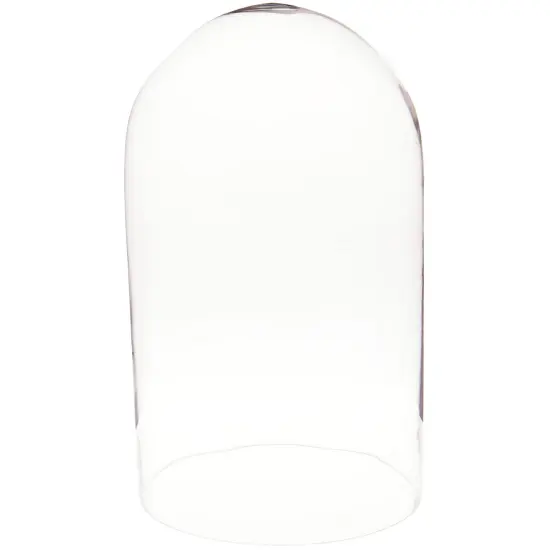 Plymor 11.75" x 20" Glass Display Dome Cloche No Base {1}