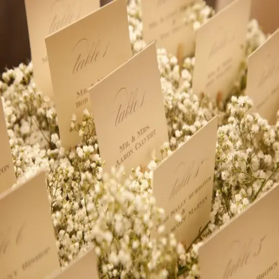 4700+ Mini Dried Babys Breath Flowers, 90+Pcs Ivory White Baby Breath Flower Bulk, Dried Flowers for Crafts, Wedding Decor Boho Invitation, Resin Candle Making, Dry Babies Flowers, Rustic Gypsophila {4}