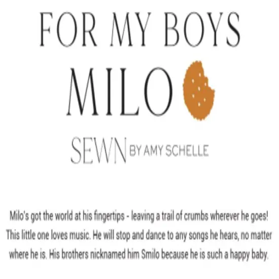 For My Boys Milo Fat Quarter Bundle by Sewn By Amy Schelle for Moda (25170AB) {2}