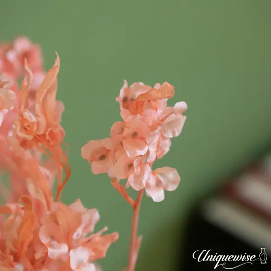 Uniquewise Preserved Real Floral Stems Chic Vase Fillers & Accents for Bouquets Centerpieces & Ornamental Displays Ideal for Home Office Boutique Cafe Resto Bar and Event Decor Pink pansy {2}