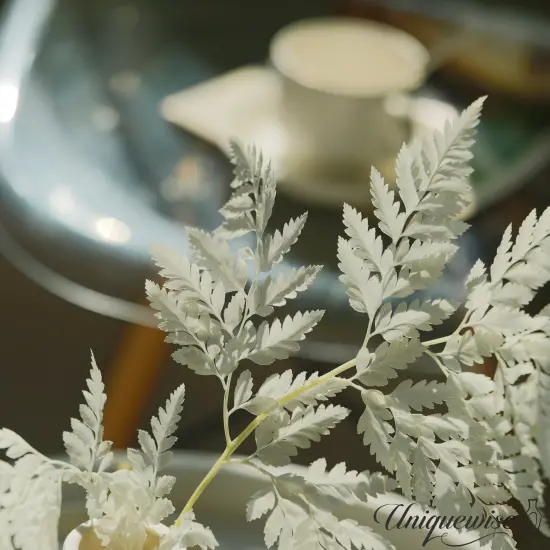 Uniquewise Preserved Real Floral Stems Chic Vase Fillers & Accents for Bouquets Centerpieces & Ornamental Displays Ideal for Home Office Boutique Cafe Resto Bar and Event Decor White alpine fern {5}