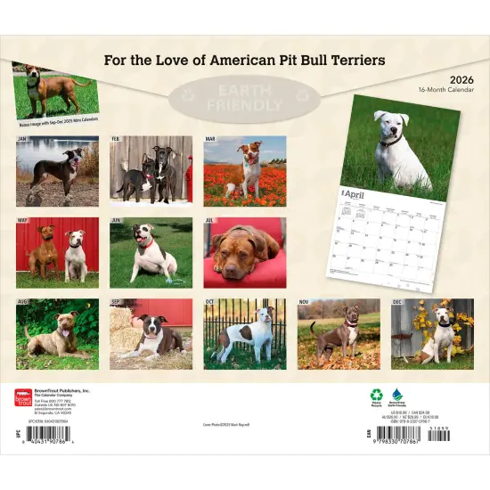 American Pit Bull Terriers | 2026 14 x 24 Inch (Hanging) Monthly Deluxe Wall Calendar | Plastic-Free {2}