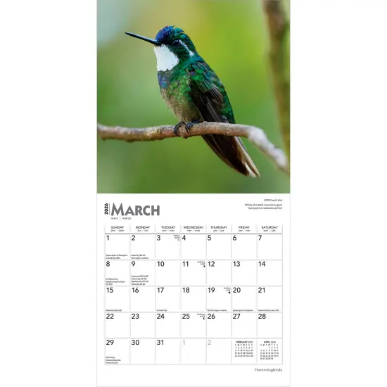 Hummingbirds | 2026 7 x 14 Inch (Hanging) Monthly Mini Wall Calendar {3}
