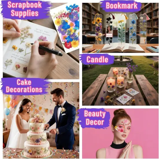 160 Pcs Small Dried Pressed Flowers for Resin with Tools {3}