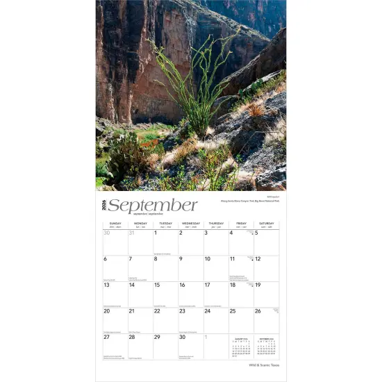 Texas Wild & Scenic | 2026 12 x 24 Inch (Hanging) Monthly Square Wall Calendar | Plastic-Free {4}