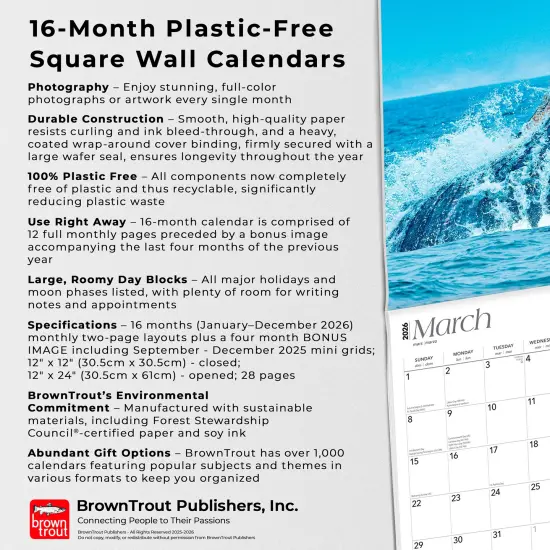 California Nature | 2026 12 x 24 Inch (Hanging) Monthly Square Wall Calendar | Plastic-Free {6}