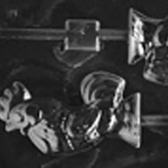 Colorful Rooster Lollipop Chocolate Mold {4}