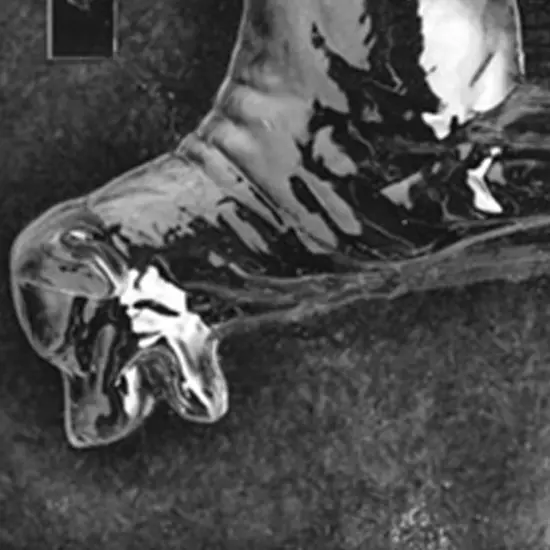 Large Rottweiler Dog Chocolate Mold for Custom Treats {2}