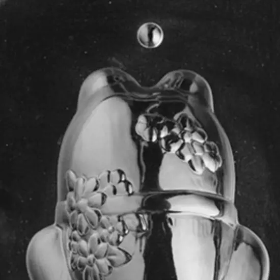 3D Frog Chocolate Mold Back {4}