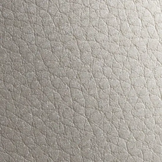 Gmund Leather Silver 12" x 12" 115# Cover Sheets Pack of 50 {1}