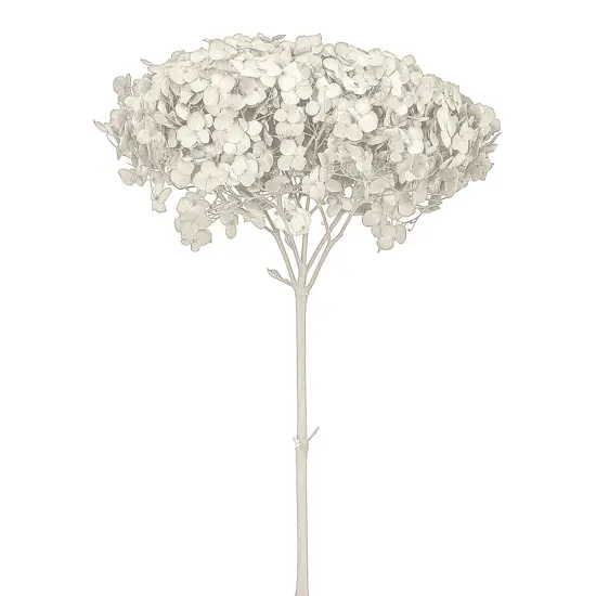 Single Anna Hydrangea White {1}
