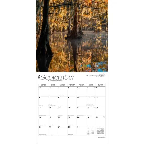 Texas Nature | 2026 12 x 24 Inch (Hanging) Monthly Square Wall Calendar | Plastic-Free {4}