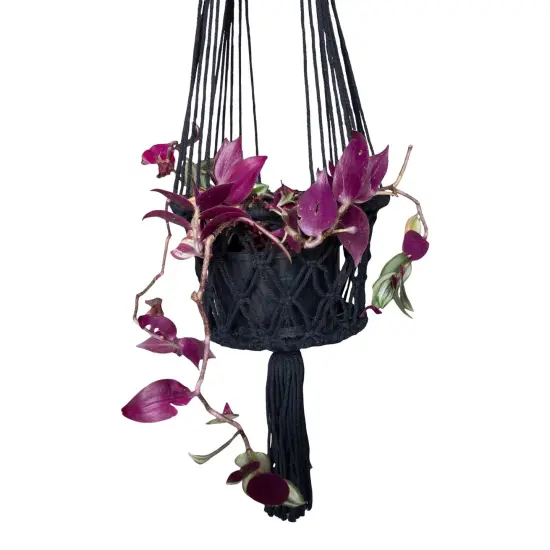 Northlight 43" Black Lattice Macrame Hanging Planter Holder {3}