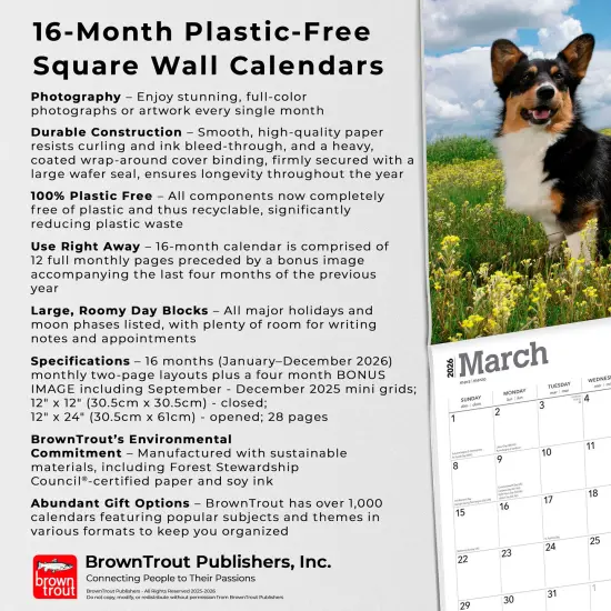 Welsh Corgis | 2026 12 x 24 Inch (Hanging) Monthly Square Wall Calendar | Plastic-Free {6}