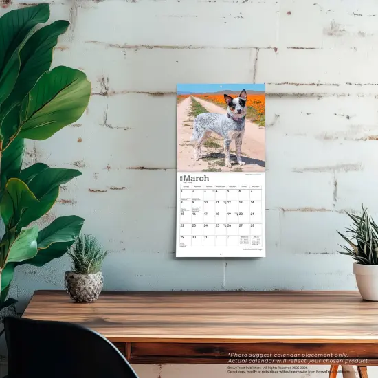 Australian Cattle Dogs | 2026 7 x 14 Inch (Hanging) Monthly Mini Wall Calendar {5}