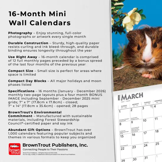Guinea Pigs | 2026 7 x 14 Inch (Hanging) Monthly Mini Wall Calendar {6}