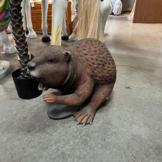 Beaver Life Size Statue {4}