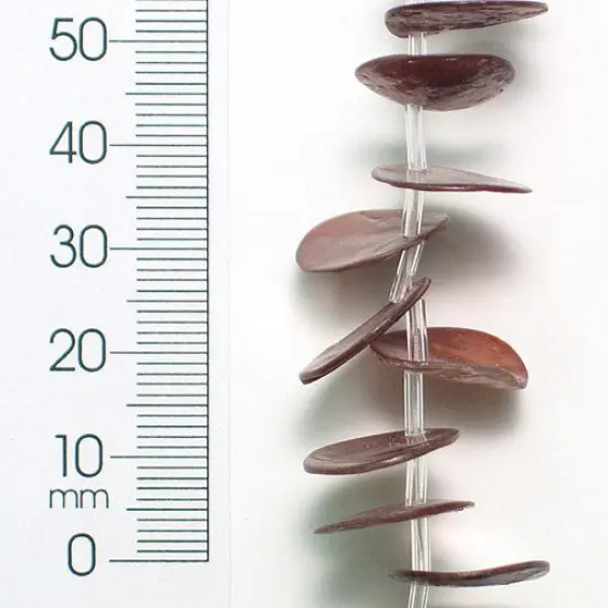 6 Packs of Button Tinted Shell Beads - Slate - 15mm - 2 x 8" Strand {1}