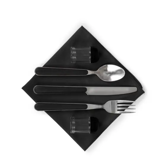 NFL Pranzo Lunch Bag Cooler with Utencils Black {11}