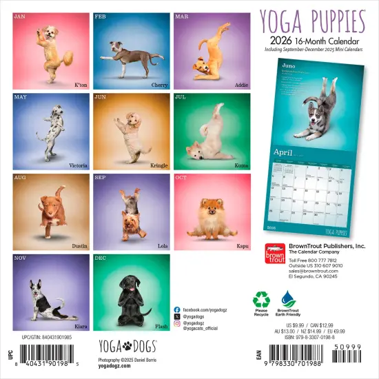 Yoga Puppies OFFICIAL | 2026 7 x 14 Inch (Hanging) Monthly Mini Wall Calendar {2}