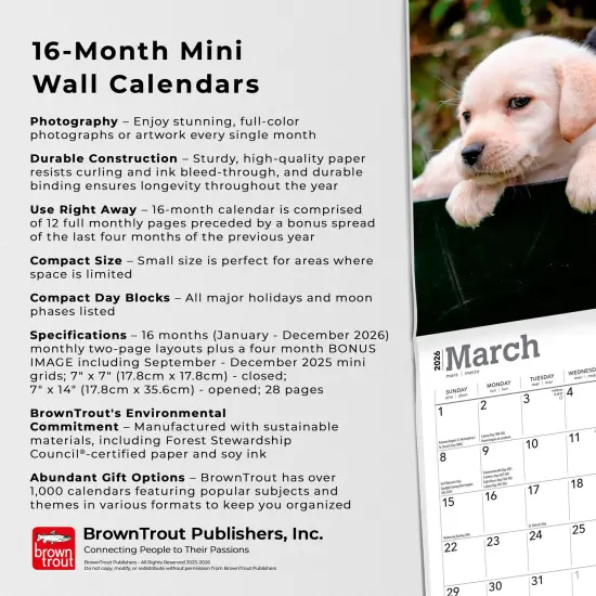 Lab Puppies | 2026 7 x 14 Inch (Hanging) Monthly Mini Wall Calendar {6}