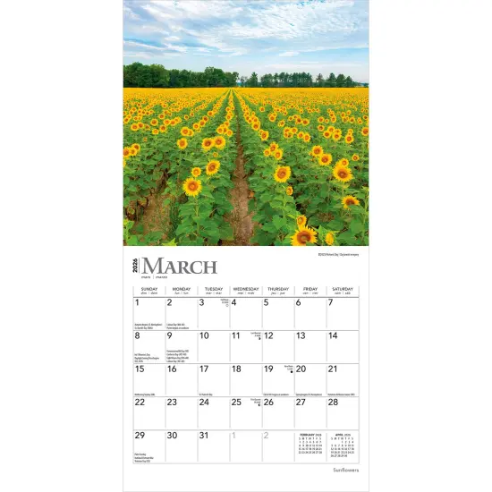 Sunflowers | 2026 7 x 14 Inch (Hanging) Monthly Mini Wall Calendar {3}