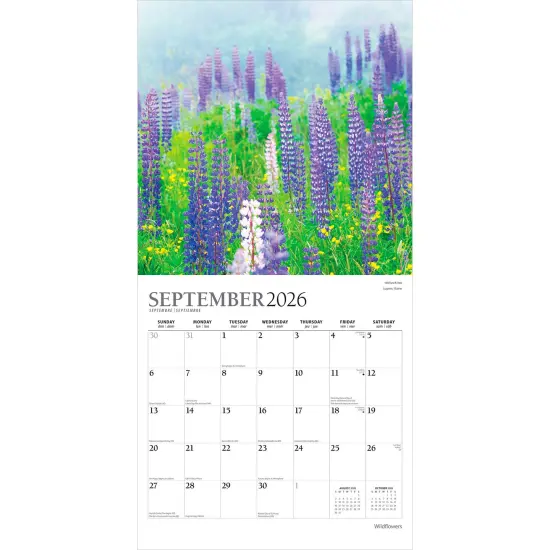 Wildflowers | 2026 12 x 24 Inch (Hanging) Monthly Square Wall Calendar | Foil Stamped Cover {4}