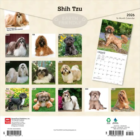 Shih Tzu | 2026 12 x 24 Inch (Hanging) Monthly Square Wall Calendar | Plastic-Free {2}