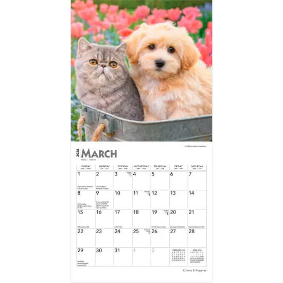 Kittens & Puppies | 2026 7 x 14 Inch (Hanging) Monthly Mini Wall Calendar {3}