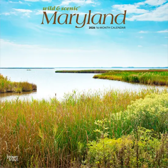Maryland Wild & Scenic | 2026 12 x 24 Inch (Hanging) Monthly Square Wall Calendar | Plastic-Free {1}