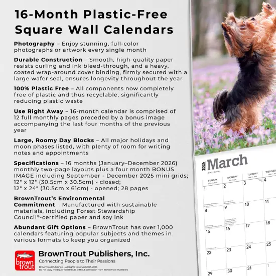 Yorkshire Terriers | 2026 12 x 24 Inch (Hanging) Monthly Square Wall Calendar | Plastic-Free {6}