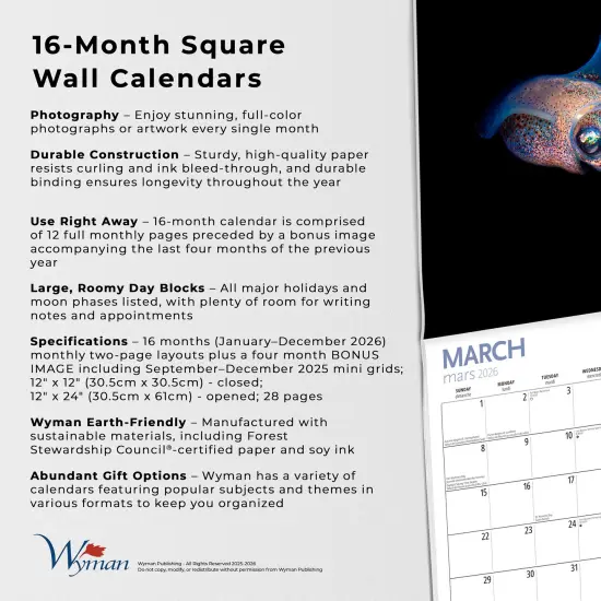 Canadian Geographic Marine Life OFFICIAL | 2026 12 x 24 Inch (Hanging) Monthly Square Wall Calendar {6}