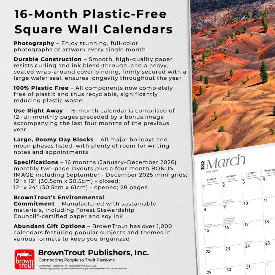 California National Parks | 2026 12 x 24 Inch (Hanging) Monthly Square Wall Calendar | Plastic-Free {6}