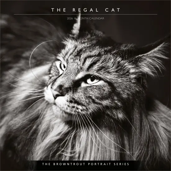 The BrownTrout Portrait Series: The Regal Cat | 2026 12 x 24 Inch (Hanging) Monthly Square Wall Calendar | Plastic-Free {1}
