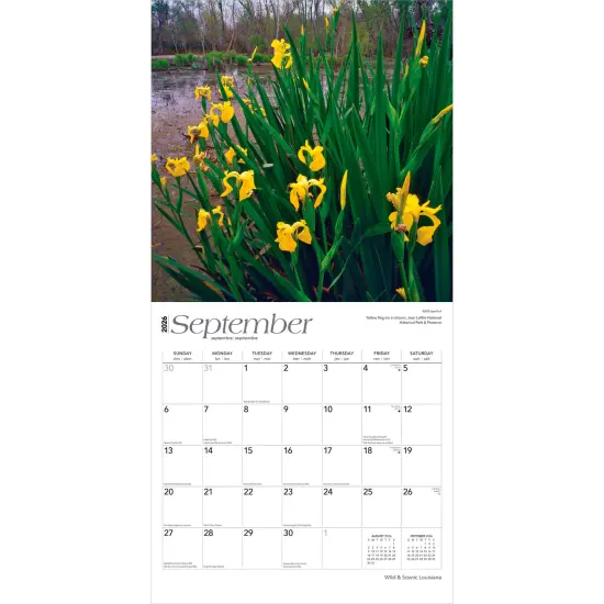 Louisiana Wild & Scenic | 2026 12 x 24 Inch (Hanging) Monthly Square Wall Calendar | Plastic-Free {4}