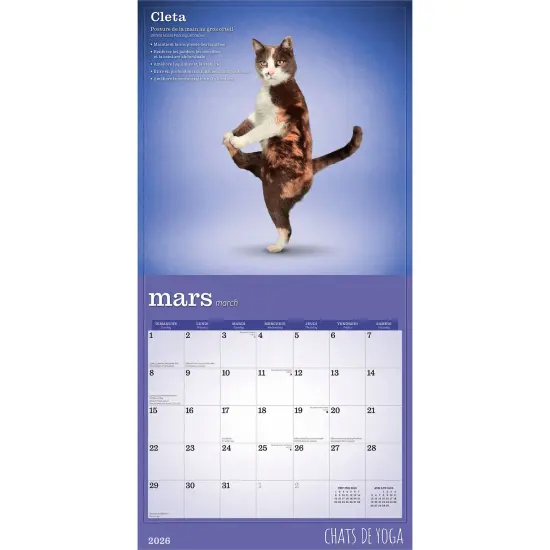 Chats de Yoga OFFICIEL | 2026 12 x 24 Inch (Hanging) Monthly Square Wall Calendar | French Language {3}