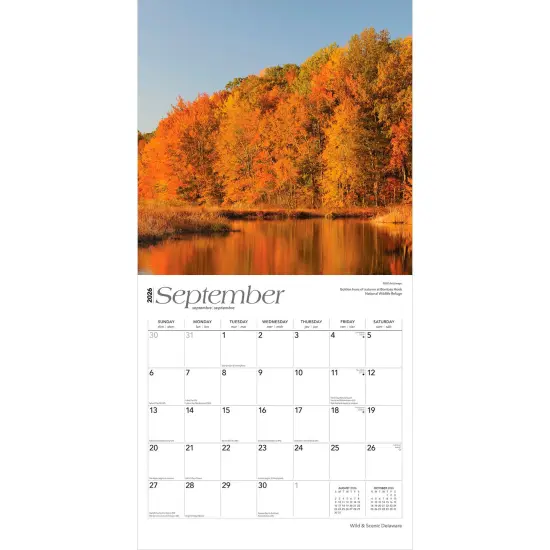 Delaware Wild & Scenic | 2026 12 x 24 Inch (Hanging) Monthly Square Wall Calendar | Plastic-Free {4}