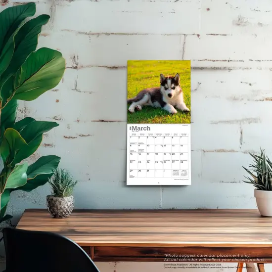 Siberian Husky Puppies | 2026 7 x 14 Inch (Hanging) Monthly Mini Wall Calendar {5}