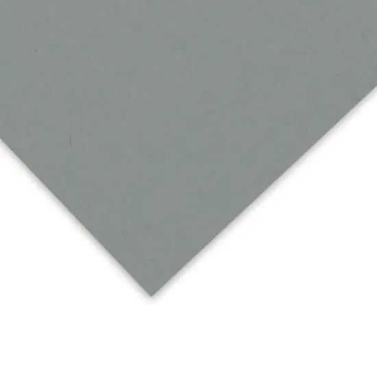 Strathmore 400 Series Toned Blue Sketch Sheet 19"X24"-Single Sheet {1}