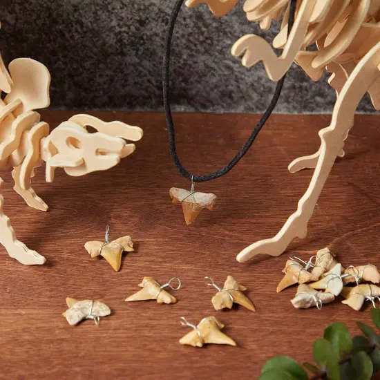 12 Pack Shark Teeth Necklace Pendants for DIY Crafts (0.787 x 0.98 In) {3}