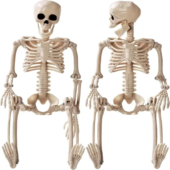 Halloween Decoration Outdoor 2 Pack Skeleton, 16" Plastic Posable Skeleton {1}