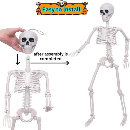 3Ft Halloween Skeleton - 16 Inches {5}